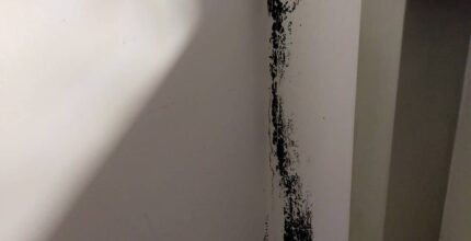 reparar humedad pared baño